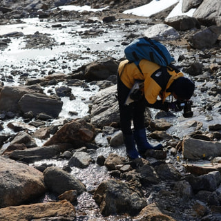 陸域生態系変動のモニタリング