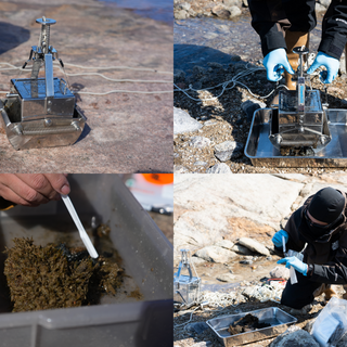 南極の陸水生態系の謎に迫る！（陸上湿地チームの観測・後編）