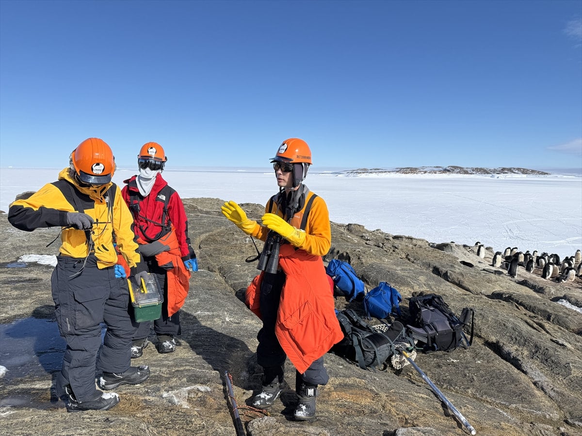 説明を行う隊員