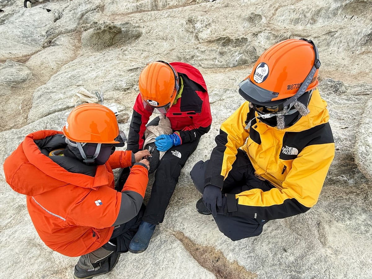 調査を行う観測隊員