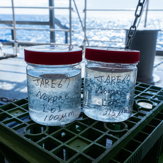 海洋観測スタート