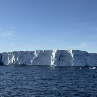 トッテン氷河沖の氷山と生き物