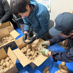 野菜ケアオペレーション