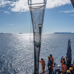 ビームトロール観測