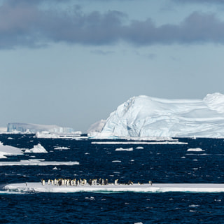 コウテイペンギンまつり
