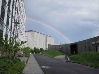Rainbow99